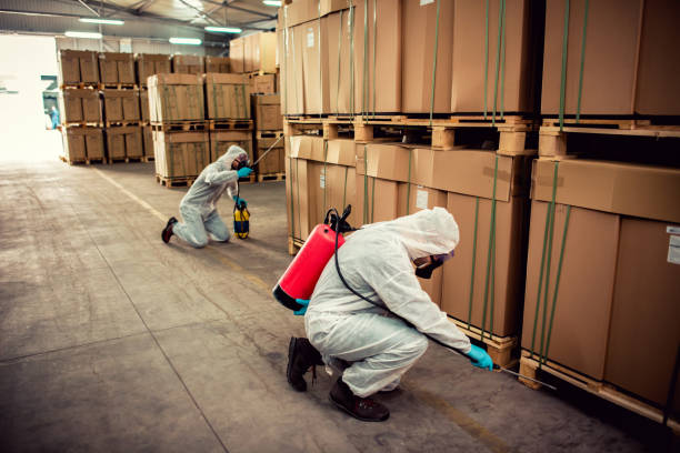 Best Pest Inspection Near Me  in Bloomfield, IA