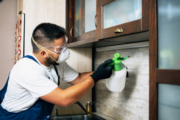 Best Pest Prevention Services  in Bloomfield, IA