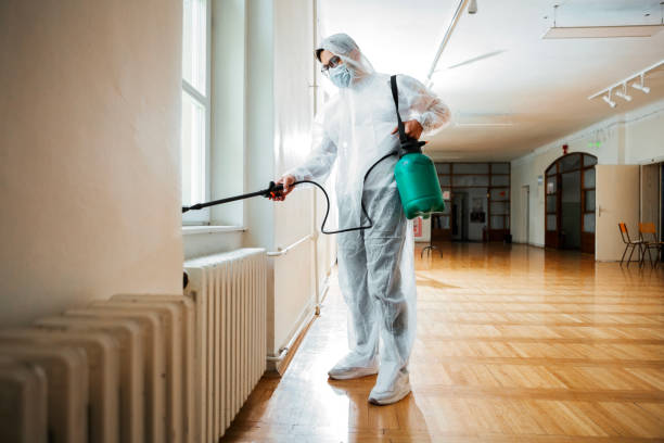 Best Termite Control Services  in Bloomfield, IA