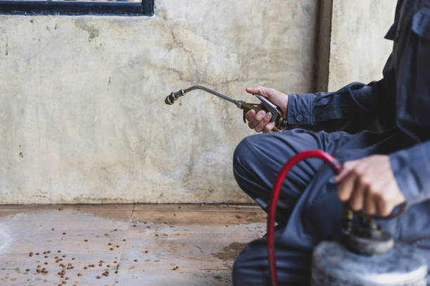 Best Residential Pest Control  in Bloomfield, IA
